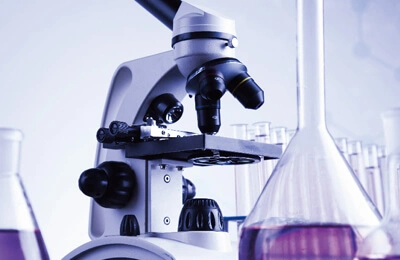 Environmental Impact